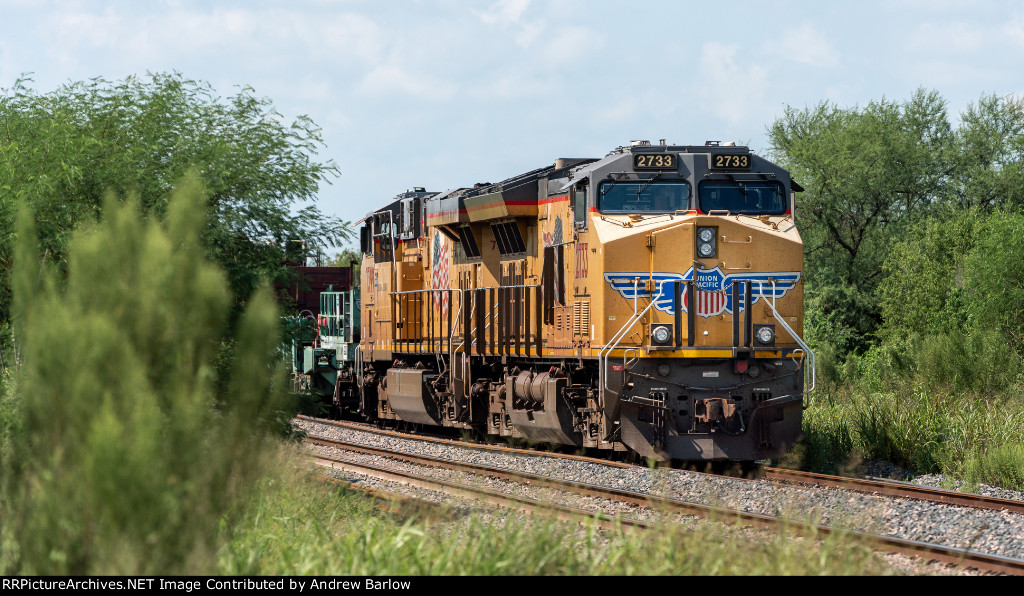 Rail Train Tied Down at Tex-Mex